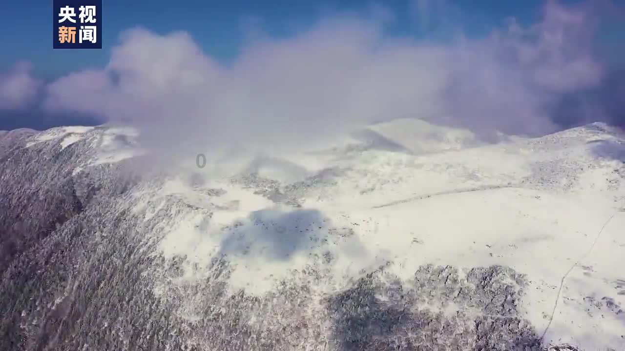 狗狗对人尿有什么说法？